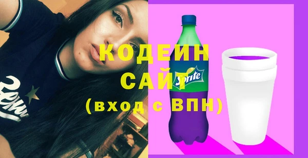 прущие грибы Вязьма