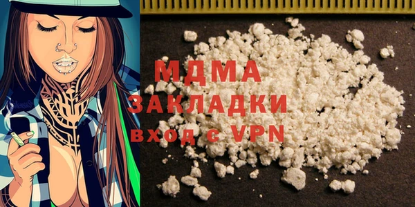 прущие грибы Вязьма